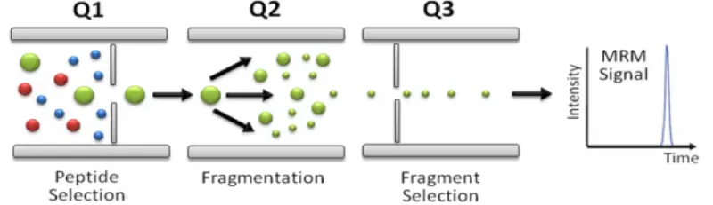 什么是三重四級(jí)桿，和四級(jí)桿又有何區(qū)別？